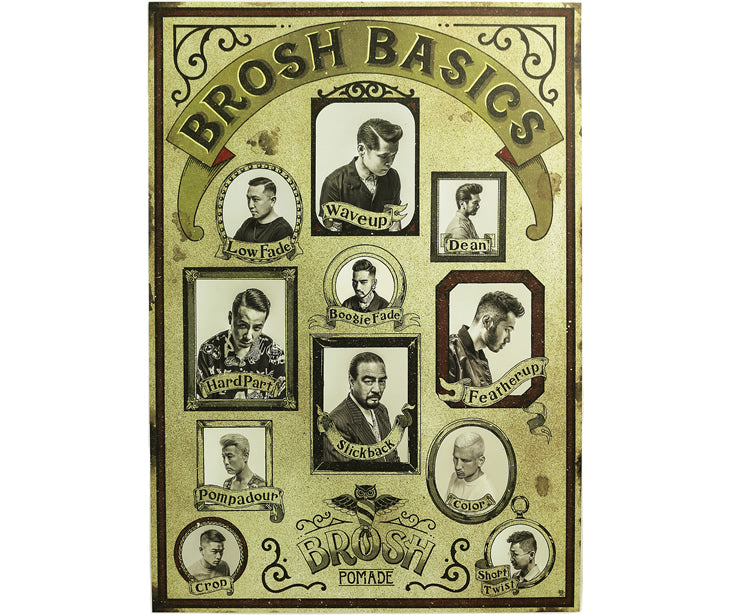 BROSH BASICS POSTER