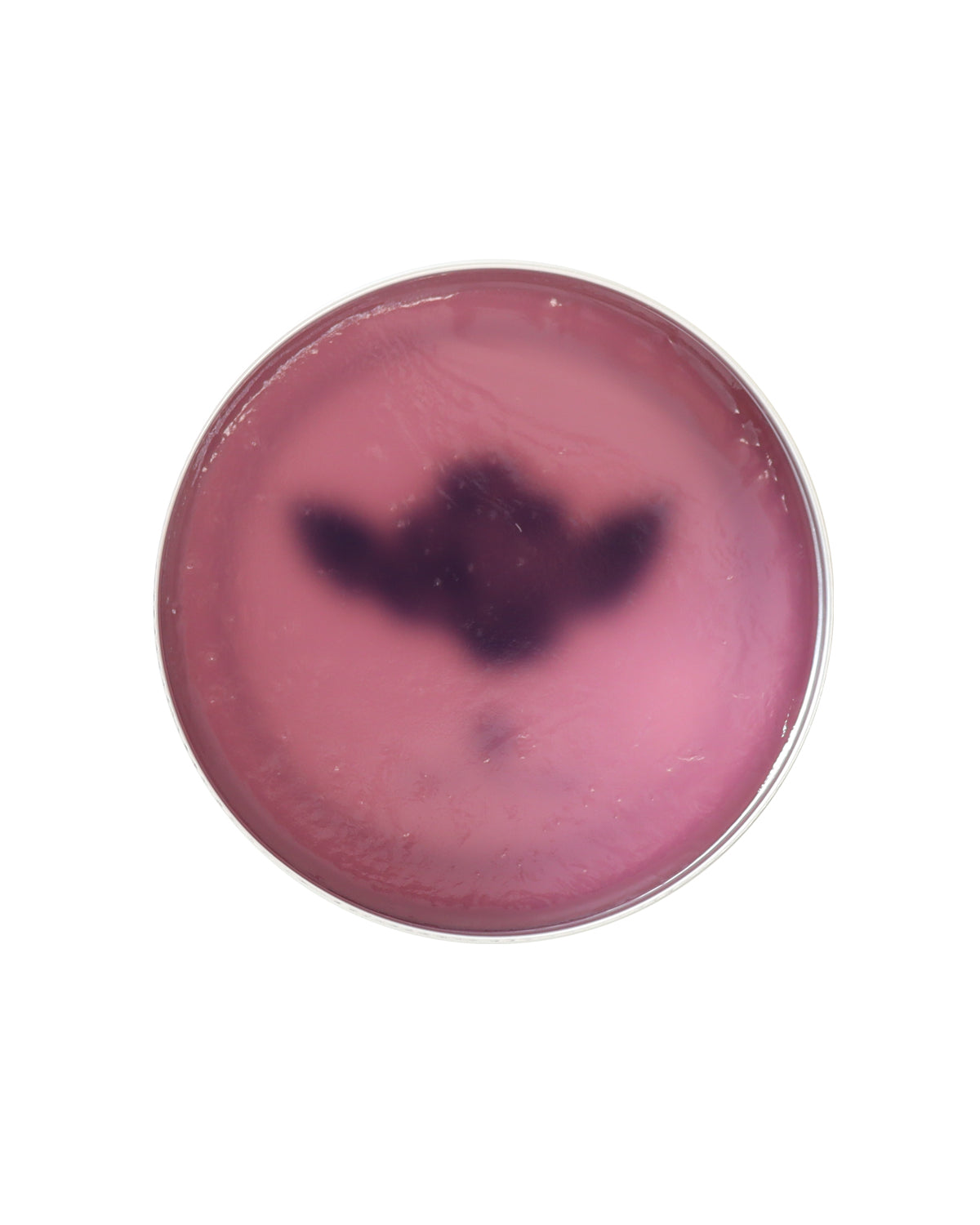 BROSH × TGP Design POMADE