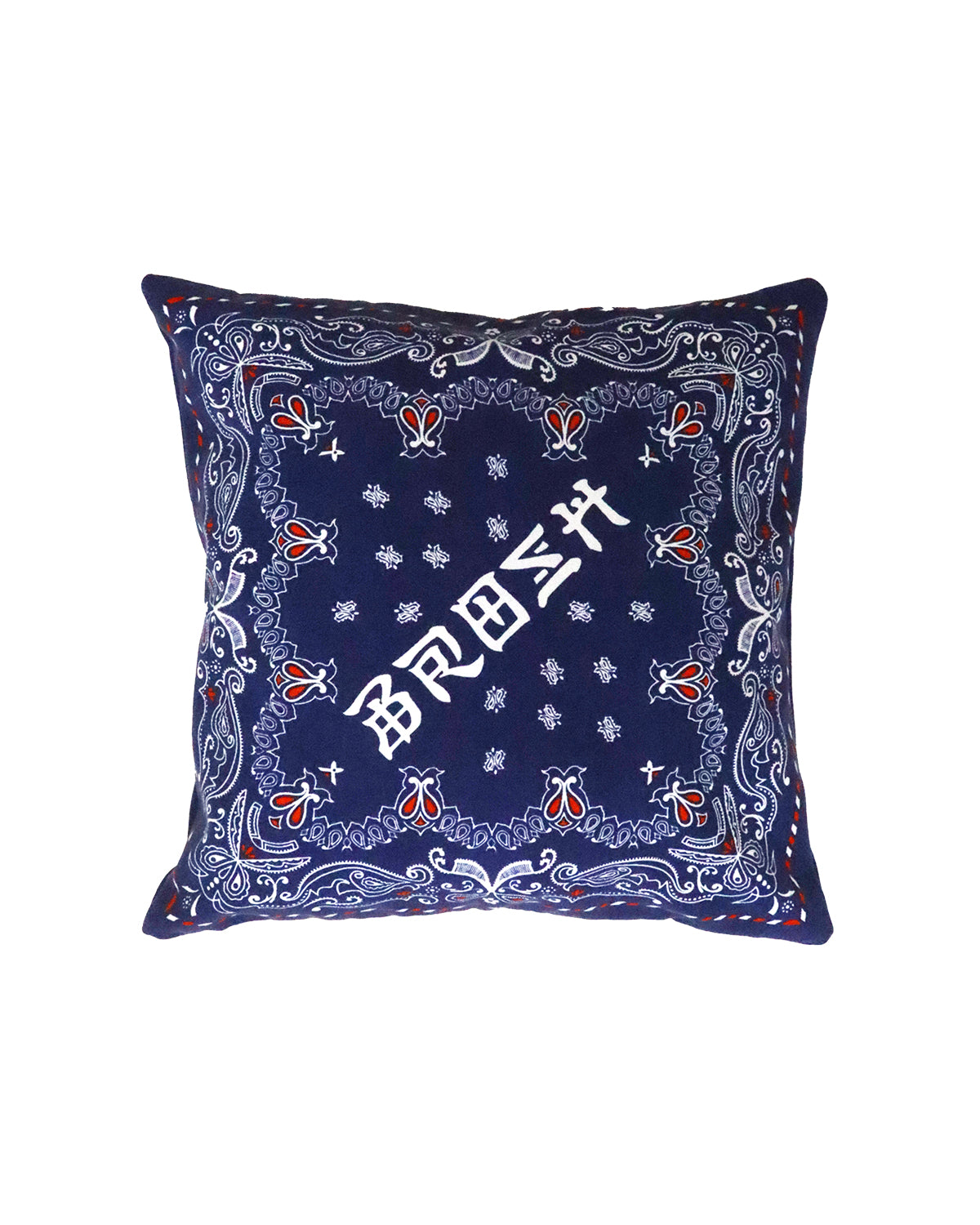 BROSH × TGP Design Paisley Cushion