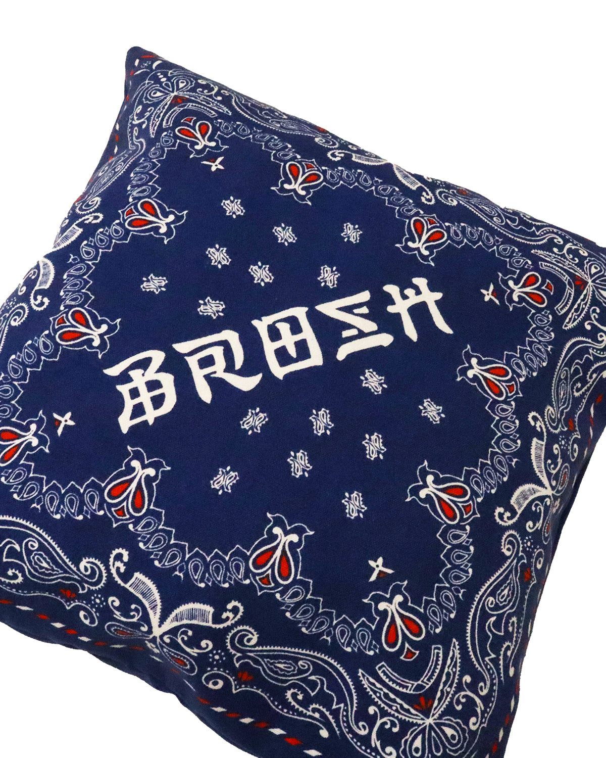 BROSH × TGP Design Paisley Cushion