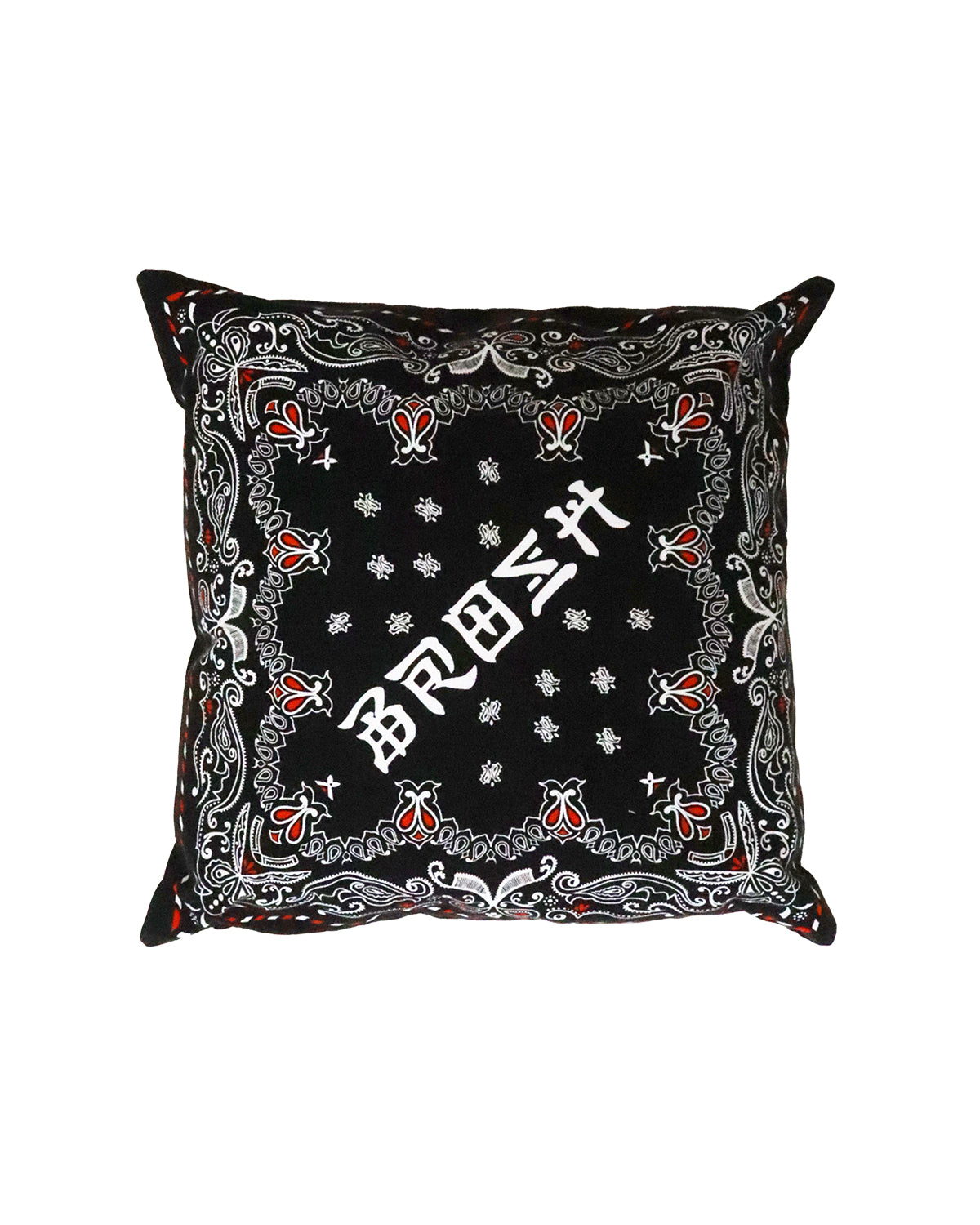 BROSH × TGP Design Paisley Cushion