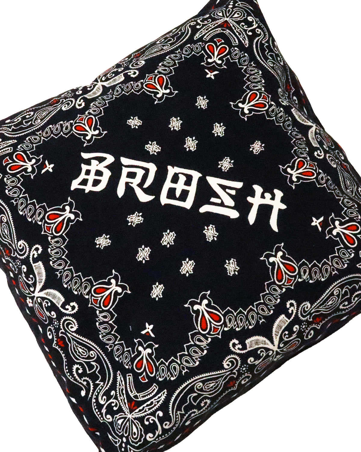 BROSH × TGP Design Paisley Cushion